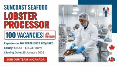 Lobster Processor - Fish Processing