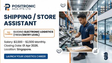 SHIPPING / STORE ASSISTANT