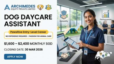 Dog Daycare Assistant